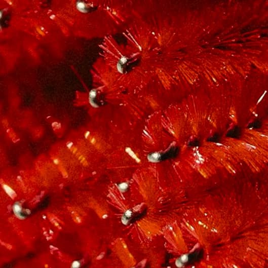 Korean Lash Lift + Brow Lamination 